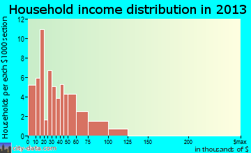 Pleasantville household income distribution
