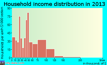 Portage Lakes household income distribution