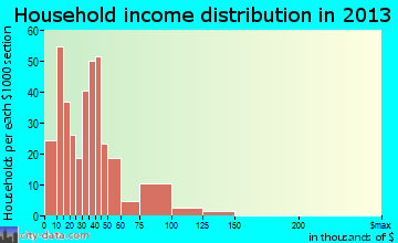 The Plains household income distribution
