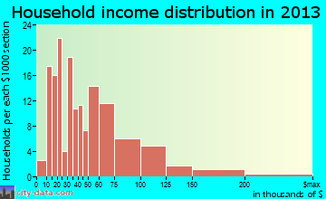 Waynesville household income distribution