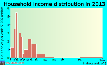 Braman household income distribution