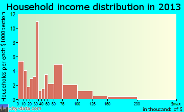 Cashion household income distribution