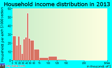 Park Hill household income distribution