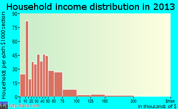 Perry household income distribution