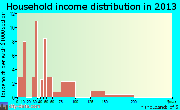 Pin Oak Acres household income distribution