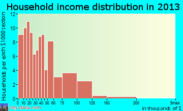 Shady Point household income distribution