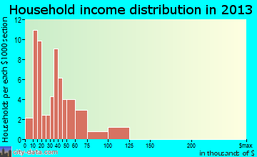 Wellston household income distribution