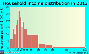 The Village household income distribution