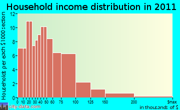 Southwest Cotton household income distribution