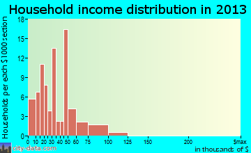 Falls City household income distribution