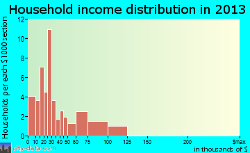 Condon household income distribution