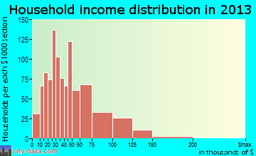 Central Point household income distribution