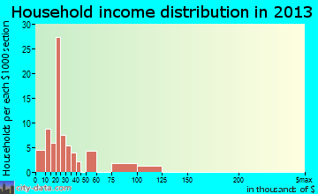 Bunker Hill household income distribution