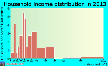 Woodbury household income distribution