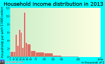 York Springs household income distribution