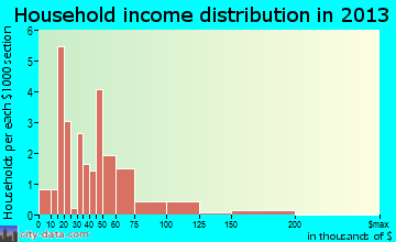 Marion Center household income distribution