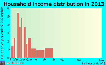 New Ringgold household income distribution