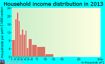 Patton household income distribution