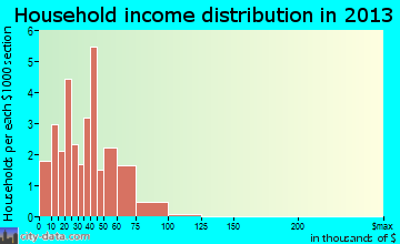 Petersburg household income distribution
