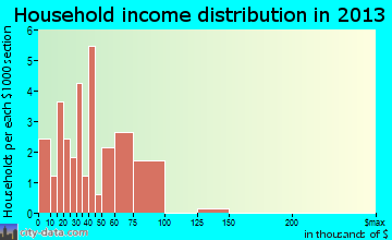 Petrolia household income distribution