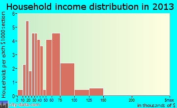 Blooming Valley household income distribution
