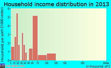 St. Petersburg household income distribution