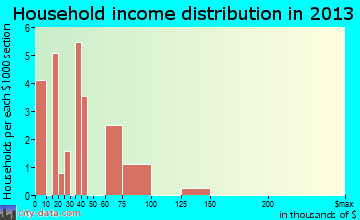 Seltzer household income distribution