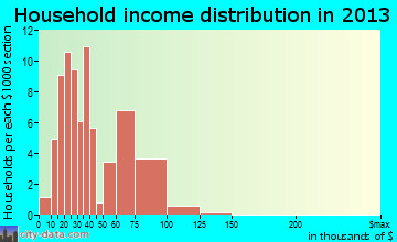 Freeburg, PA household income