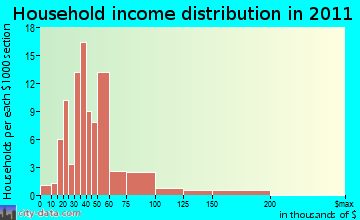 Nebo Center household income distribution