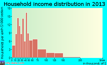 Homer City household income distribution