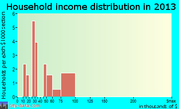 Jamison City household income distribution