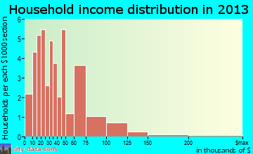 Laurel Run household income distribution