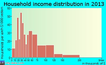 Nuevo household income distribution