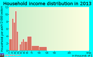 Brunson household income distribution