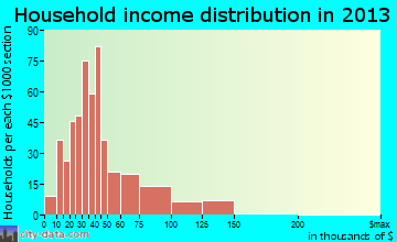 Burton, SC household income