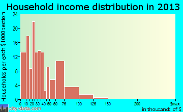 Ninety Six household income distribution