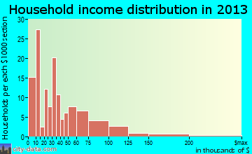 Ravenel household income distribution