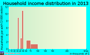 Riverview household income distribution