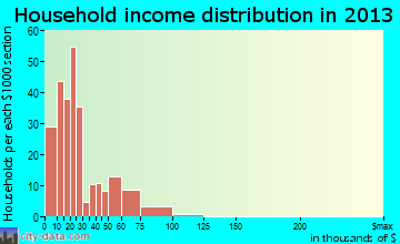 Wilkinson Heights household income distribution