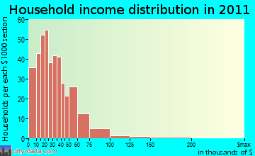Hamer, SC household income