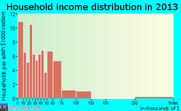 Martin household income distribution