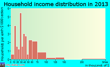 Hudson household income distribution