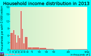 Burke household income distribution