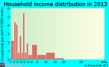 Bison household income distribution