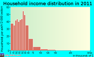 Rheatown-Chucky household income distribution
