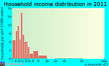 Shady Valley household income distribution
