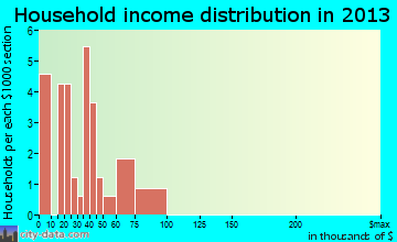 Iron City household income distribution