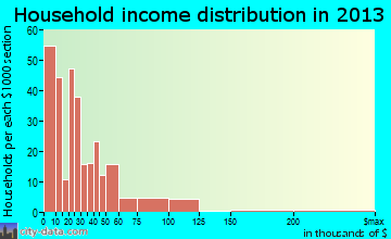 Mountain City household income distribution