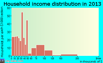 Newbern household income distribution