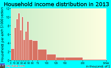 New Market household income distribution